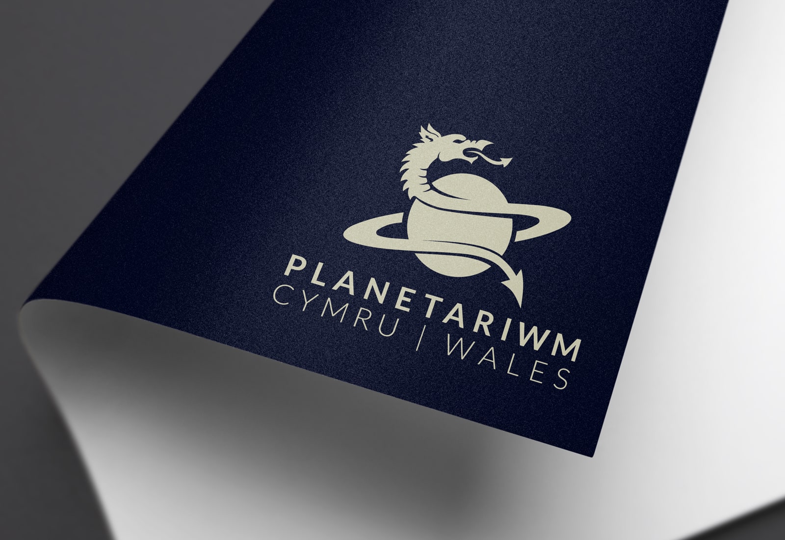 planetariwm_logo_page planetariwm_logo_page